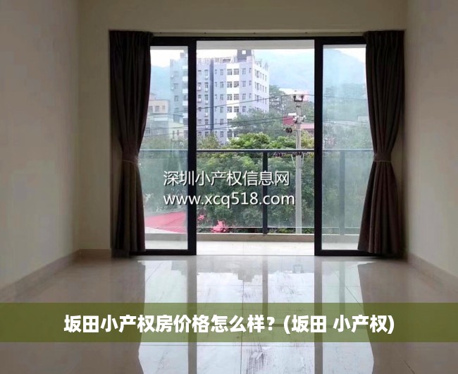 坂田小产权房价格怎么样？(坂田 小产权)
