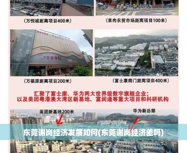 东莞谢岗经济发展如何(东莞谢岗经济差吗) 东莞谢岗经济发展如何(东莞谢岗经济差吗)