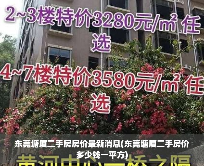 东莞塘厦二手房房价最新消息(东莞塘厦二手房价多少钱一平方) 东莞塘厦二手房房价最新消息(东莞塘厦二手房价多少钱一平方)