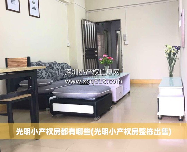 光明小产权房都有哪些(光明小产权房整栋出售)