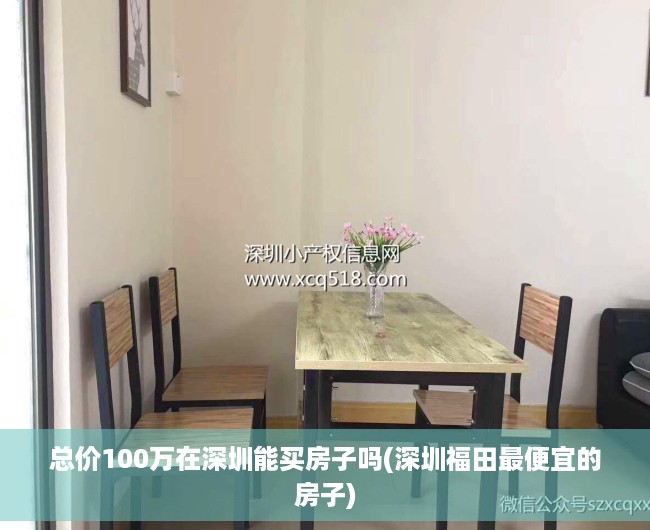 总价100万在深圳能买房子吗(深圳福田最便宜的房子)