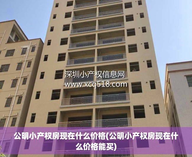 公明小产权房现在什么价格(公明小产权房现在什么价格能买) 公明小产权房现在什么价格(公明小产权房现在什么价格能买)