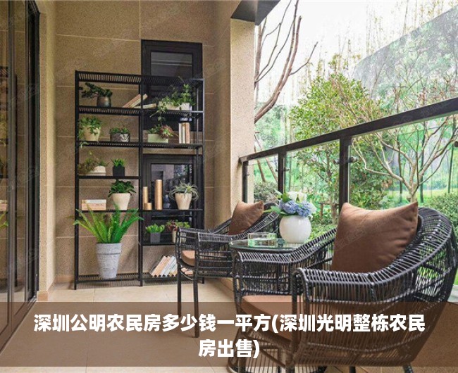 深圳公明农民房多少钱一平方(深圳光明整栋农民房出售) 深圳公明农民房多少钱一平方(深圳光明整栋农民房出售)