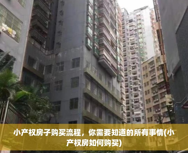 小产权房子购买流程，你需要知道的所有事情(小产权房如何购买)