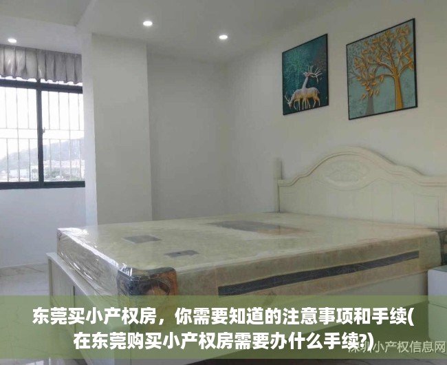 东莞买小产权房，你需要知道的注意事项和手续(在东莞购买小产权房需要办什么手续?)