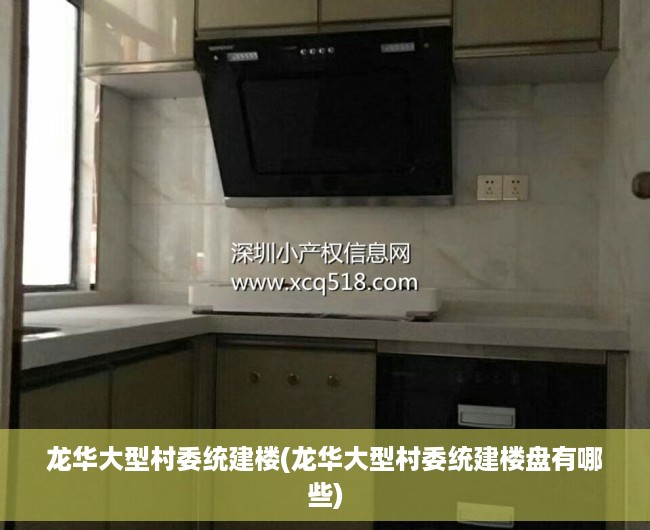 龙华大型村委统建楼(龙华大型村委统建楼盘有哪些)