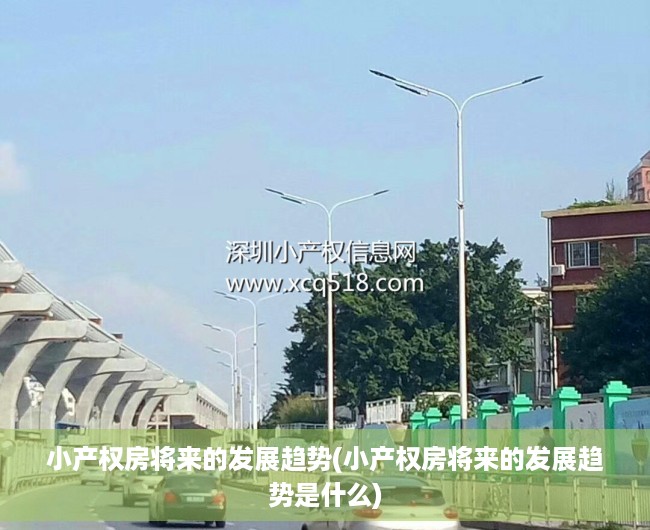 小产权房将来的发展趋势(小产权房将来的发展趋势是什么)