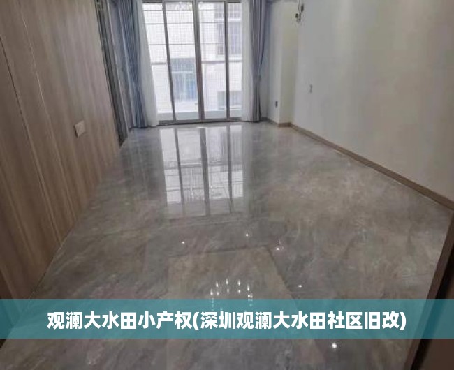 观澜大水田小产权(深圳观澜大水田社区旧改)