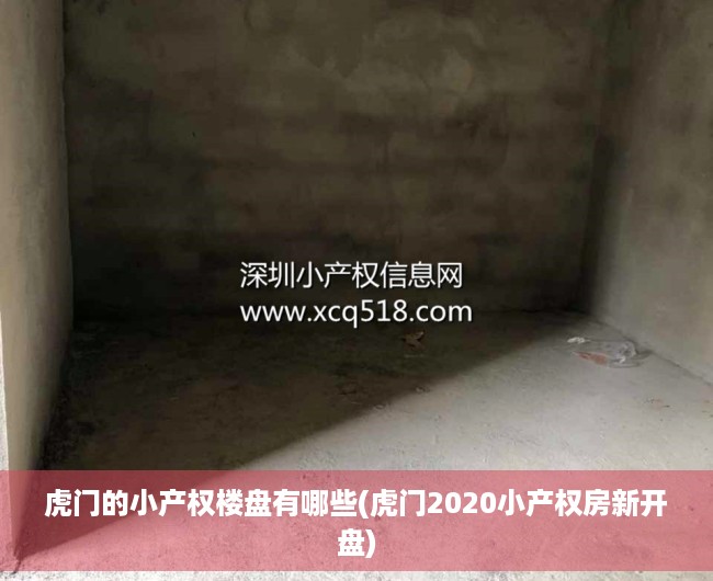虎门的小产权楼盘有哪些(虎门2020小产权房新开盘) 虎门的小产权楼盘有哪些(虎门2020小产权房新开盘)