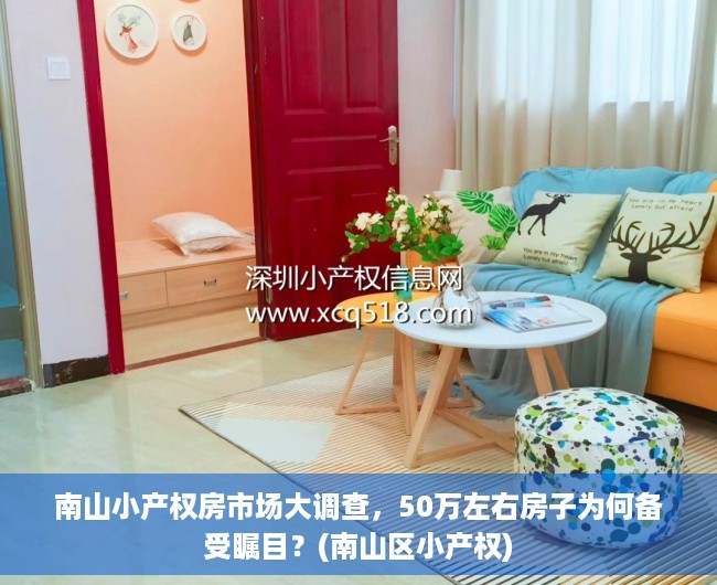 南山小产权房市场大调查，50万左右房子为何备受瞩目？(南山区小产权)