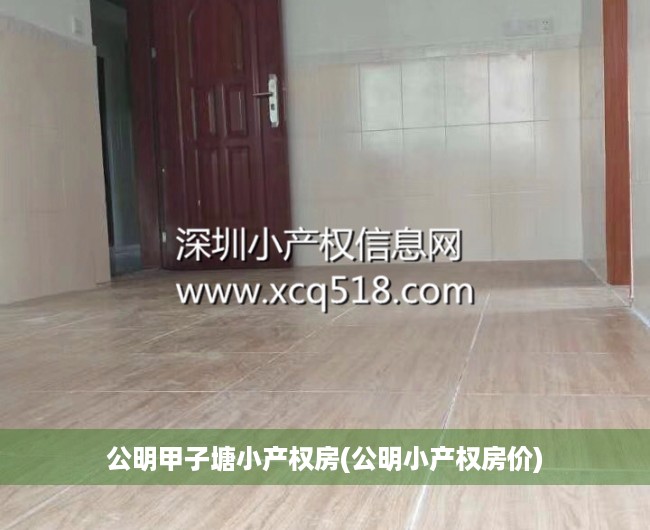 公明甲子塘小产权房(公明小产权房价)