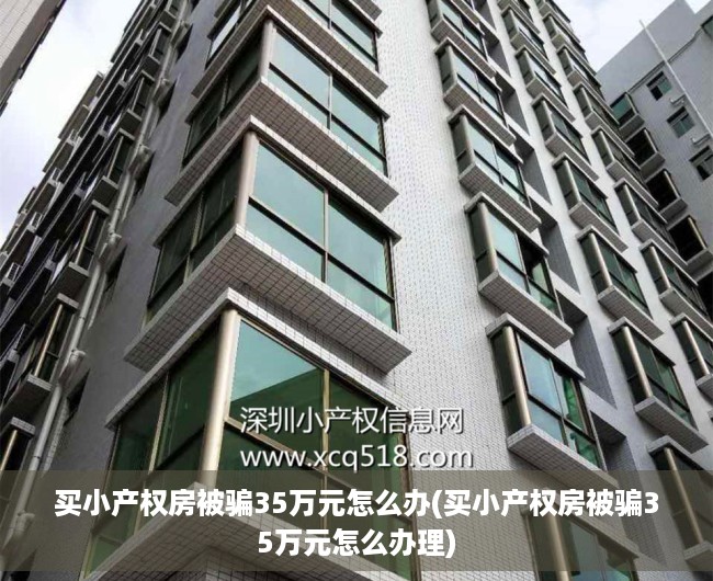 买小产权房被骗35万元怎么办(买小产权房被骗35万元怎么办理)
