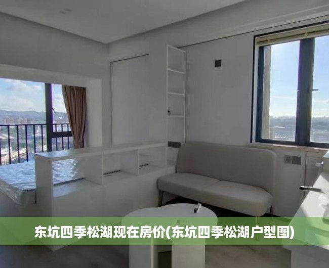 东坑四季松湖现在房价(东坑四季松湖户型图) 东坑四季松湖现在房价(东坑四季松湖户型图)