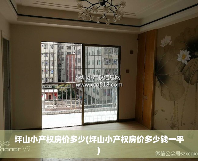 坪山小产权房价多少(坪山小产权房价多少钱一平) 坪山小产权房价多少(坪山小产权房价多少钱一平)