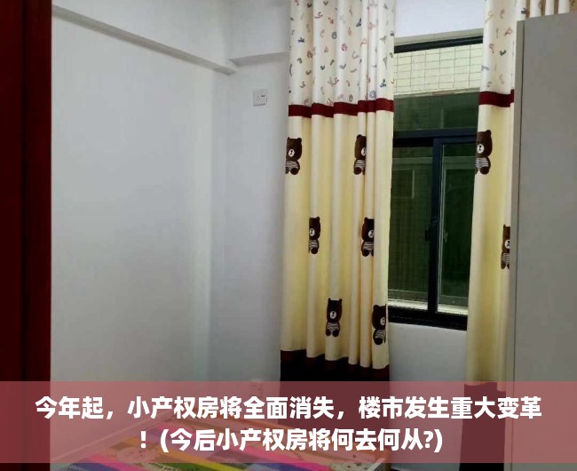 今年起，小产权房将全面消失，楼市发生重大变革！(今后小产权房将何去何从?)