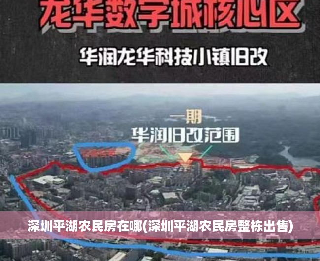 深圳平湖农民房在哪(深圳平湖农民房整栋出售) 深圳平湖农民房在哪(深圳平湖农民房整栋出售)