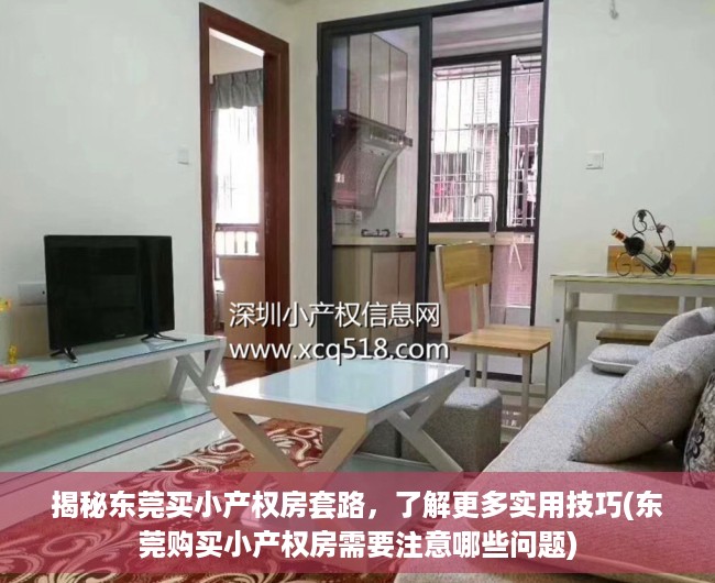揭秘东莞买小产权房套路，了解更多实用技巧(东莞购买小产权房需要注意哪些问题)