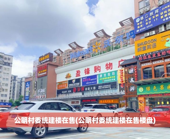 公明村委统建楼在售(公明村委统建楼在售楼盘) 公明村委统建楼在售(公明村委统建楼在售楼盘)