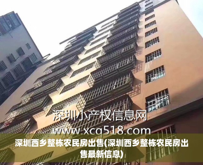 深圳西乡整栋农民房出售(深圳西乡整栋农民房出售最新信息) 深圳西乡整栋农民房出售(深圳西乡整栋农民房出售最新信息)