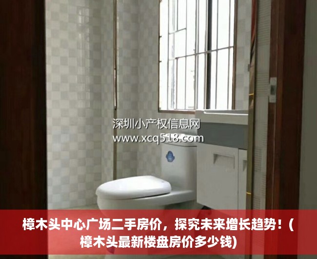 樟木头中心广场二手房价，探究未来增长趋势！(樟木头最新楼盘房价多少钱)