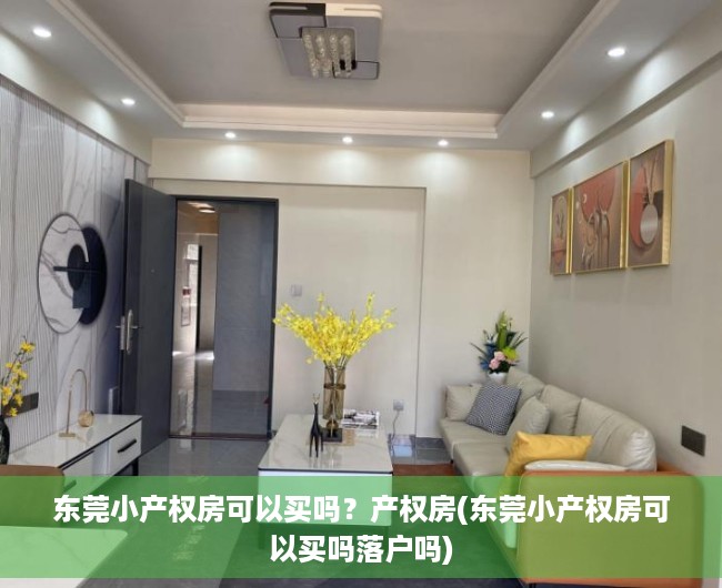 东莞小产权房可以买吗？产权房(东莞小产权房可以买吗落户吗)