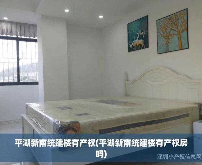 平湖新南统建楼有产权(平湖新南统建楼有产权房吗)