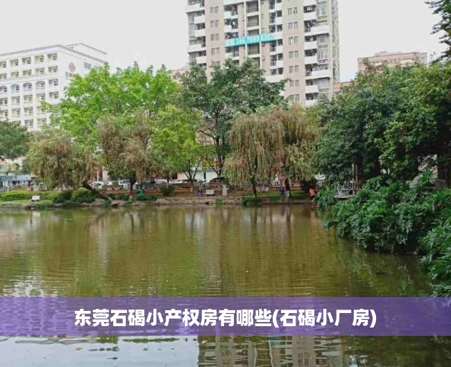 东莞石碣小产权房有哪些(石碣小厂房) 东莞石碣小产权房有哪些(石碣小厂房)