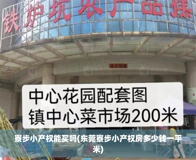 寮步小产权能买吗(东莞寮步小产权房多少钱一平米) 寮步小产权能买吗(东莞寮步小产权房多少钱一平米)