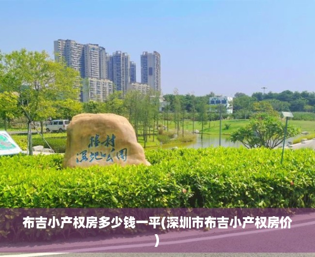 布吉小产权房多少钱一平(深圳市布吉小产权房价)