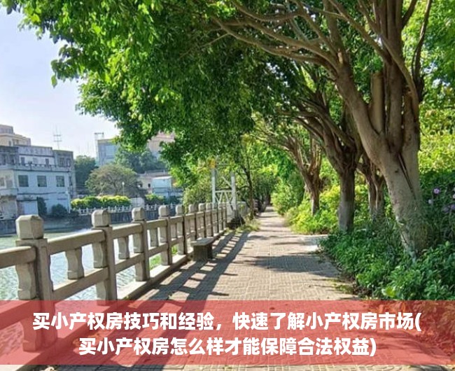 买小产权房技巧和经验，快速了解小产权房市场(买小产权房怎么样才能保障合法权益)