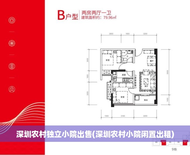 深圳农村独立小院出售(深圳农村小院闲置出租)
