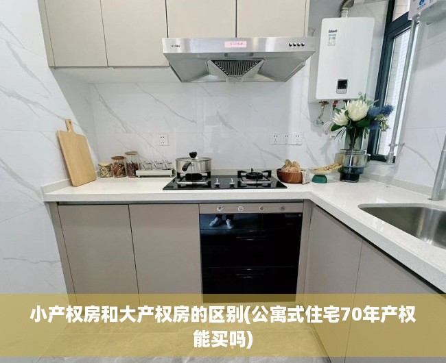 小产权房和大产权房的区别(公寓式住宅70年产权能买吗) 小产权房和大产权房的区别(公寓式住宅70年产权能买吗)