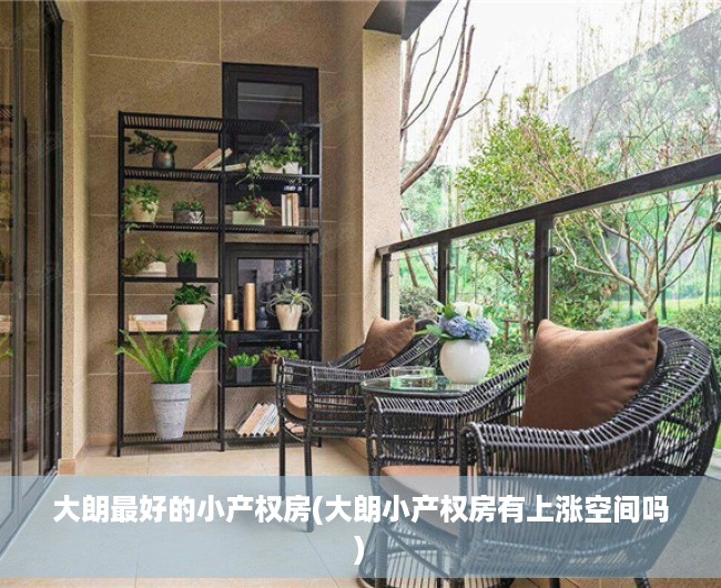 大朗最好的小产权房(大朗小产权房有上涨空间吗)