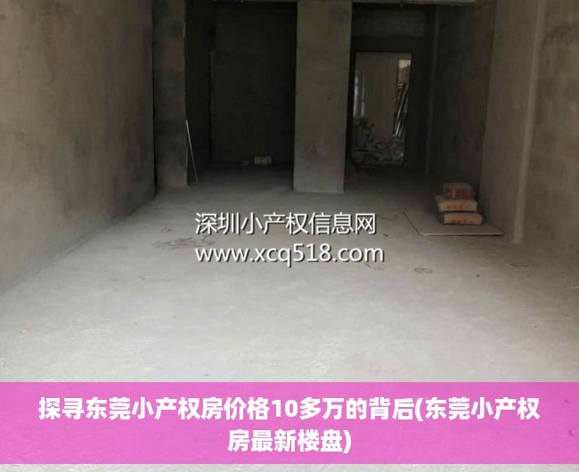 探寻东莞小产权房价格10多万的背后(东莞小产权房最新楼盘)