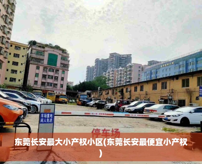 东莞长安最大小产权小区(东莞长安最便宜小产权) 东莞长安最大小产权小区(东莞长安最便宜小产权)