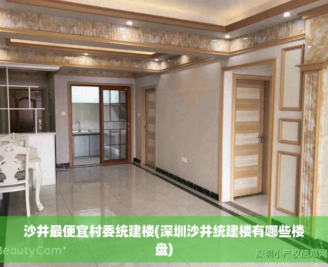 沙井最便宜村委统建楼(深圳沙井统建楼有哪些楼盘)