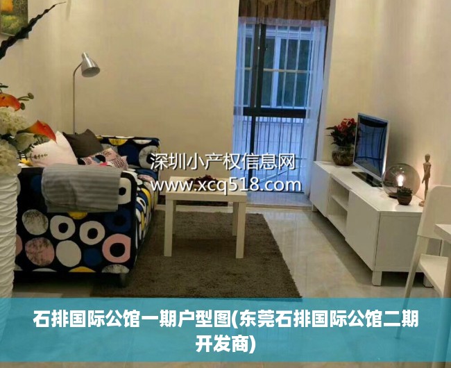 石排国际公馆一期户型图(东莞石排国际公馆二期开发商)