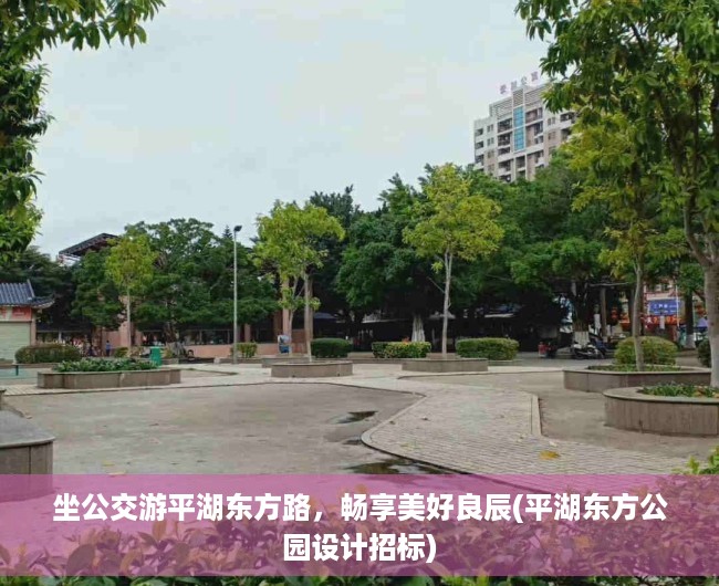 坐公交游平湖东方路，畅享美好良辰(平湖东方公园设计招标)