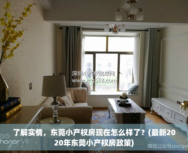 了解实情，东莞小产权房现在怎么样了？(最新2020年东莞小产权房政策)