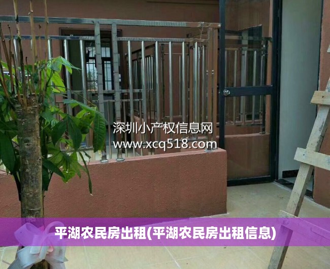 平湖农民房出租(平湖农民房出租信息) 平湖农民房出租(平湖农民房出租信息)