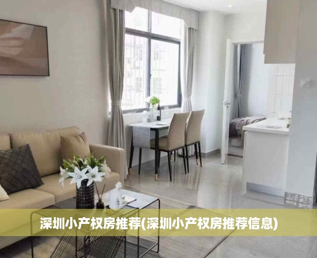 深圳小产权房推荐(深圳小产权房推荐信息)
