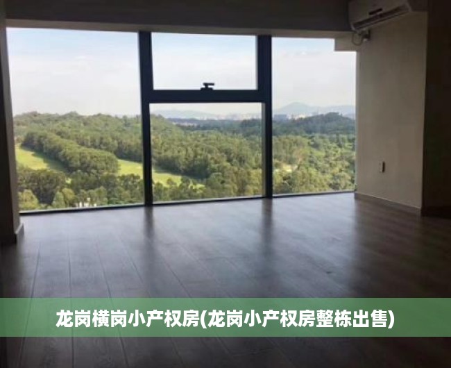 龙岗横岗小产权房(龙岗小产权房整栋出售) 龙岗横岗小产权房(龙岗小产权房整栋出售)