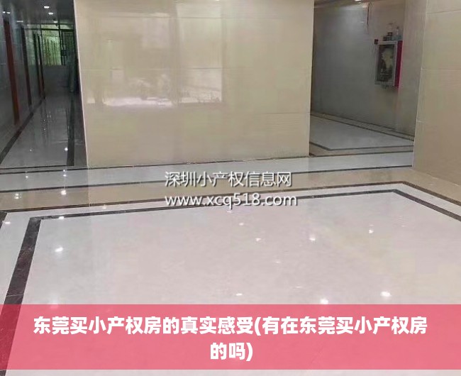 东莞买小产权房的真实感受(有在东莞买小产权房的吗) 东莞买小产权房的真实感受(有在东莞买小产权房的吗)