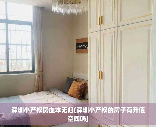 深圳小产权房血本无归(深圳小产权的房子有升值空间吗) 深圳小产权房血本无归(深圳小产权的房子有升值空间吗)