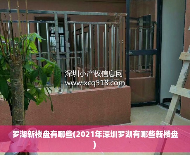 罗湖新楼盘有哪些(2021年深圳罗湖有哪些新楼盘) 罗湖新楼盘有哪些(2021年深圳罗湖有哪些新楼盘)