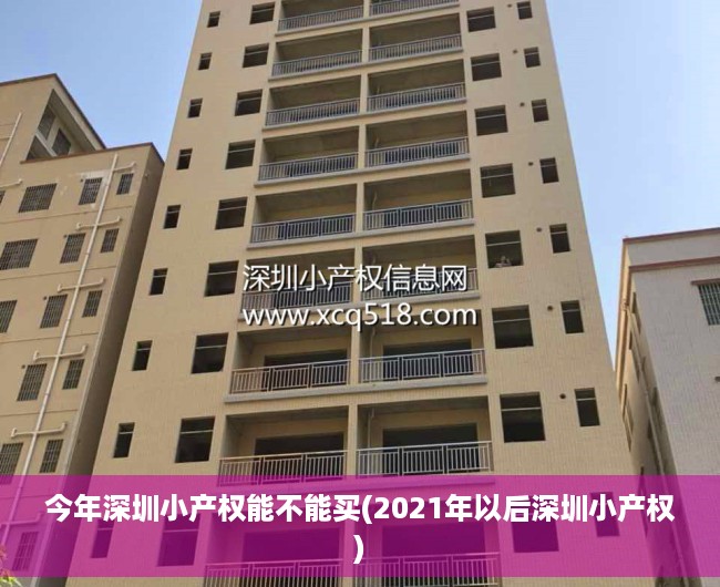 今年深圳小产权能不能买(2021年以后深圳小产权) 今年深圳小产权能不能买(2021年以后深圳小产权)