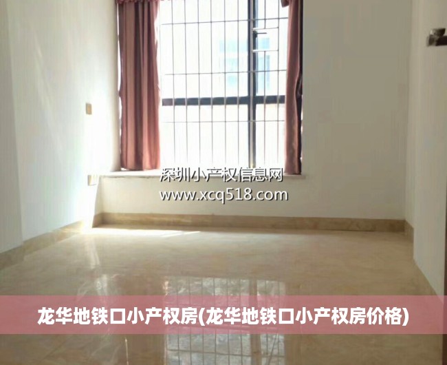 龙华地铁口小产权房(龙华地铁口小产权房价格)
