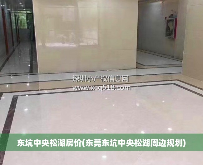 东坑中央松湖房价(东莞东坑中央松湖周边规划) 东坑中央松湖房价(东莞东坑中央松湖周边规划)