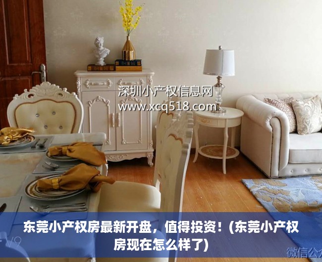 东莞小产权房最新开盘，值得投资！(东莞小产权房现在怎么样了)
