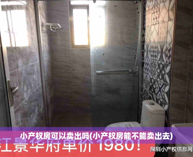 小产权房可以卖出吗(小产权房能不能卖出去) 小产权房可以卖出吗(小产权房能不能卖出去)